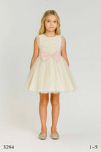 Robe Tulle Ivoire avec Nœud Rose – Élégance Classique